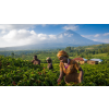 Káva Kamerun – čerstvě pražená 100% arabica (Varianta mletá 100g)