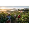Privátní značka kávy – čerstvě pražená 100% Arabica (Varianta mletá 200g)