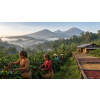Káva Indonésie – čerstvě pražená 100% arabica (Varianta mletá 500g)