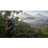 Káva Guatemala v dóze – 100% Arabica Latino Café (Varianta mletá 200g)