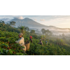 Káva Kamerun v dóze – 100% arabica Latino Café (Varianta mletá 200g)