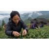 pu erh ya bao cajove pupeny z yunnanu 40 g ccd057a4
