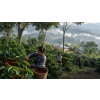 Káva Nikaragua v dóze – 100% Arabica Latino Café (Varianta mletá 200g)