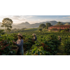 zelena kava s matou v doze mleta arabica 300 g atmosfera 8172ed35