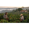 zelena kava s citronovou travou v doze 300 g atmosfera b788efc7