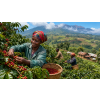 Káva Uganda v dóze – 100% arabica Latino Café (Varianta mletá 200g)