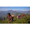 India Darjeeling FTGFOPI Marybong – černý čaj (Varianta černý čaj 60g)