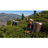 India Darjeeling TGFOPI Ambootia – černý čaj (první sklizeň) (Varianta černý čaj 1000g)
