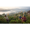Káva Myanmar (Barma) – čerstvě pražená 100% arabica (Varianta mletá 1kg)
