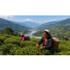 India Darjeeling FTGFOPI Tukdah – černý čaj (Varianta černý čaj 60g)