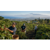 Káva Hawaii Kona – čerstvě pražená 100% arabica (Varianta zrnková 500g)