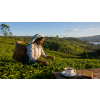 Ceylon OPI Pettiagalla – černý čaj (Varianta černý čaj 500g)