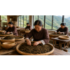 China Golden Monkey Jin Hou – černý čaj z Fujianu (Varianta černý čaj 50g)