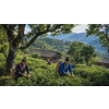 Puerh Tea Originál – čínský pu-erh z Yunnanu (Varianta černý čaj 1000g)