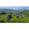 china emerald pearl green tea bio 50 g zeleny caj atmosfera ad05417e