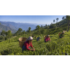 nepal guranse handrolled ff bio cerny caj 50 g ac7d58c5