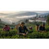 India Darjeeling North Tukvar FF – černý čaj (Varianta černý čaj 1000g)