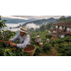 latino cafe instant klasik v kovove doze atmosfera 16a8e6ec