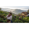 latino cafe instant gold v prakticke doze atmosfera fd63cde2