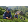Rose Tea – černý ochucený čaj s růžovými plátky (Varianta černý čaj 500g)