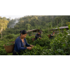 guayusa ilex guayusa bio 50 g atmosfera 3dd61f6d