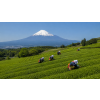 japan sencha fukujyu 50 g japonsky zeleny caj 57ff659d