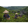 China Gui Hua Sweet Osmanthus Oolong (Varianta oolong čaj 500g)