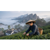 China Mao Feng – zelený čaj (Varianta zelený čaj 50g)
