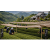 Japan Gyokuro Asahi BIO – zelený čaj (Varianta zelený čaj 500g)
