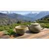 7 let v Tibetu® – zelený ochucený čaj Darjeeling (Varianta zelený čaj 500g)