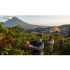 Káva Salvador – čerstvě pražená 100% arabica (Varianta mletá 200g)