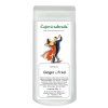 Honeybush Ginger & Fred – hruška, zázvor a skořice (Varianta honeybush čaj 80g)